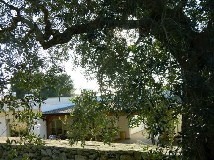 Agriturismo Serra Vecchia Bauernhof *